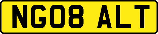 NG08ALT