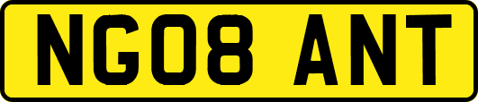 NG08ANT