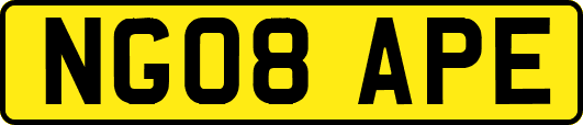 NG08APE