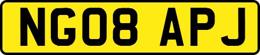 NG08APJ