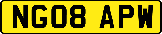 NG08APW