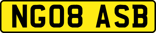 NG08ASB