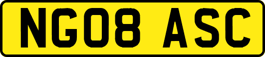 NG08ASC
