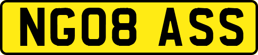 NG08ASS