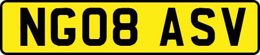 NG08ASV