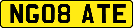 NG08ATE