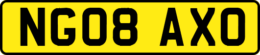 NG08AXO