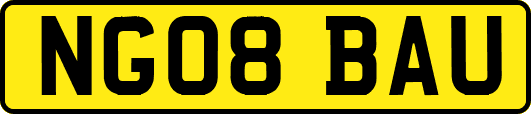 NG08BAU
