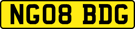 NG08BDG