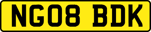 NG08BDK