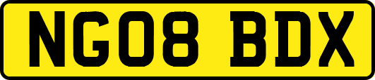NG08BDX