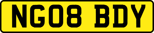 NG08BDY