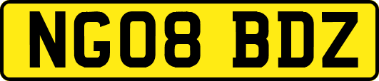 NG08BDZ