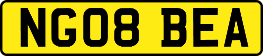 NG08BEA