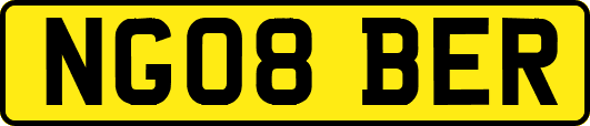 NG08BER