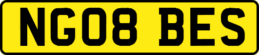 NG08BES