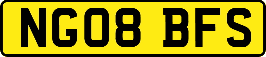 NG08BFS