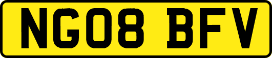 NG08BFV
