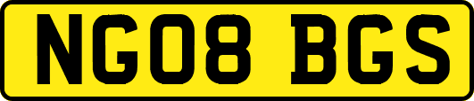 NG08BGS