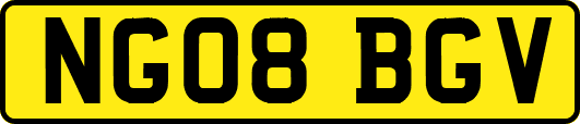 NG08BGV