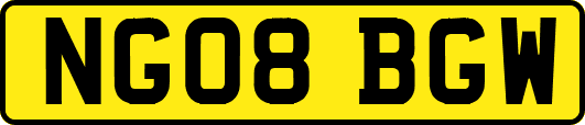 NG08BGW