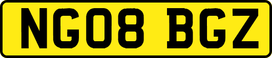 NG08BGZ