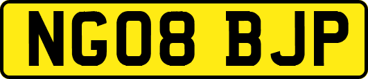 NG08BJP