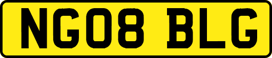 NG08BLG