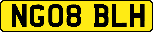 NG08BLH