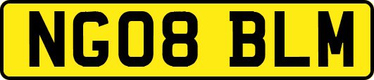NG08BLM