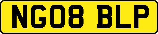 NG08BLP