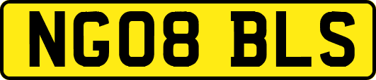 NG08BLS