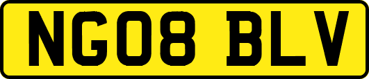 NG08BLV