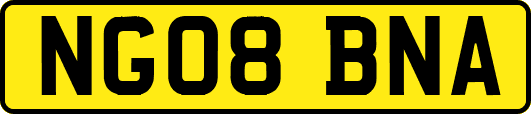 NG08BNA