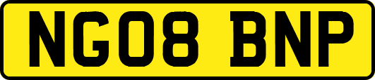 NG08BNP