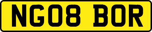 NG08BOR