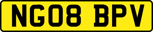 NG08BPV