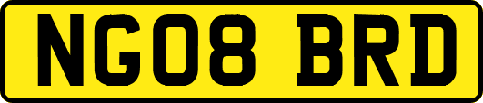 NG08BRD