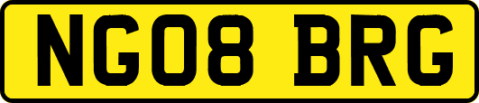 NG08BRG
