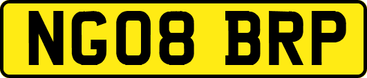 NG08BRP