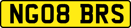 NG08BRS