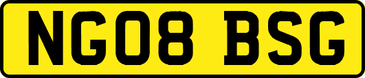 NG08BSG