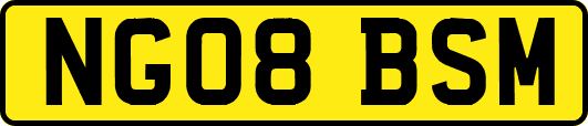 NG08BSM