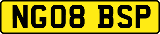 NG08BSP