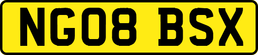 NG08BSX