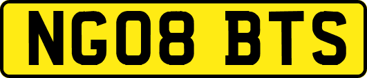 NG08BTS
