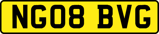 NG08BVG