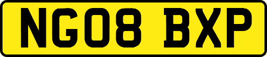 NG08BXP