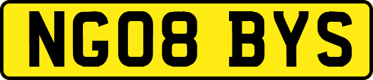 NG08BYS