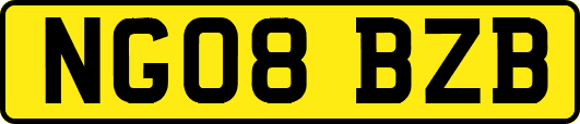 NG08BZB